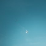 pexels-ryan-klaus-14237825