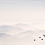 on senvole ensemble